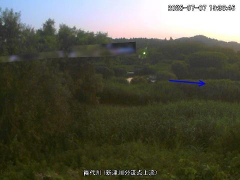 新津川分流点上流　現在